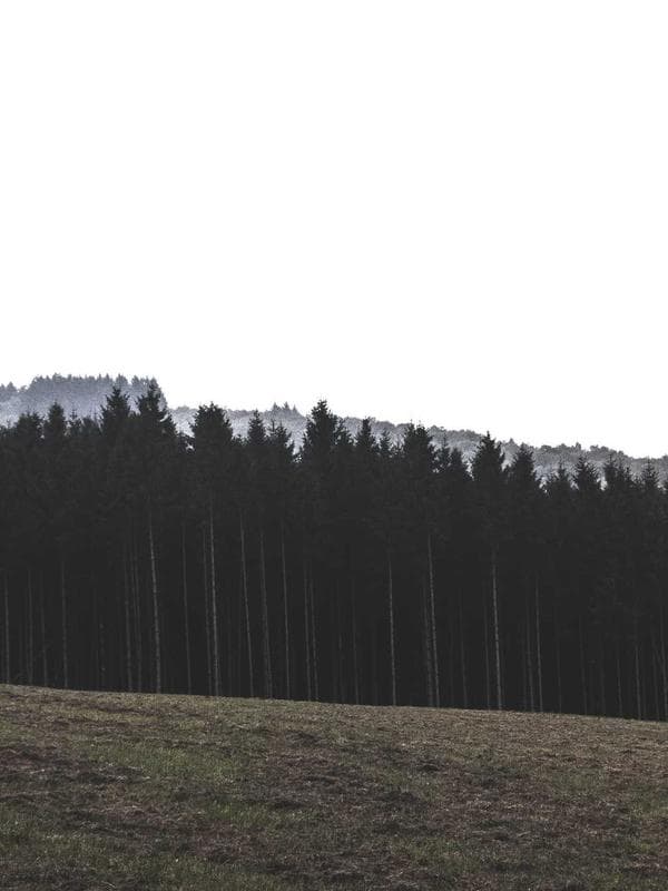 Aplicativo Vida Solution